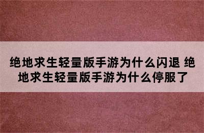 绝地求生轻量版手游为什么闪退 绝地求生轻量版手游为什么停服了